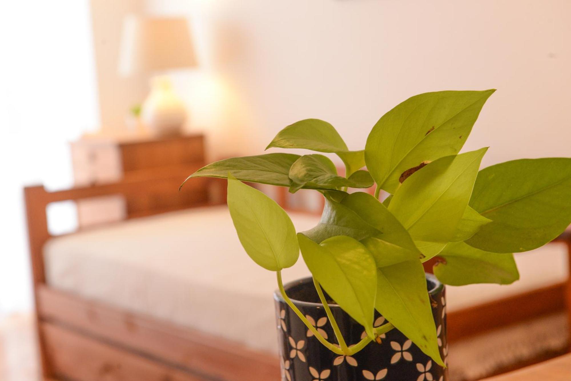 Appartement Imperdible En Palermo Botanico La Rural Seguridad 24Hs à Buenos Aires Extérieur photo